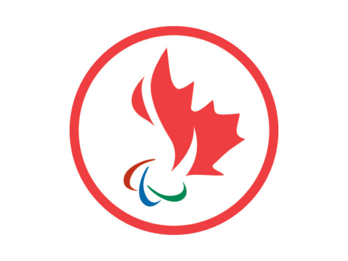 Paralympic Team Logo