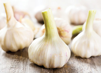 Garlic