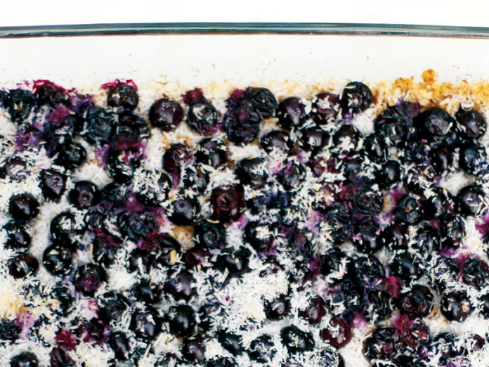 Coconut Blueberry Baked Crumble