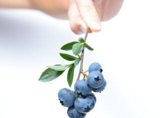 Blueberries