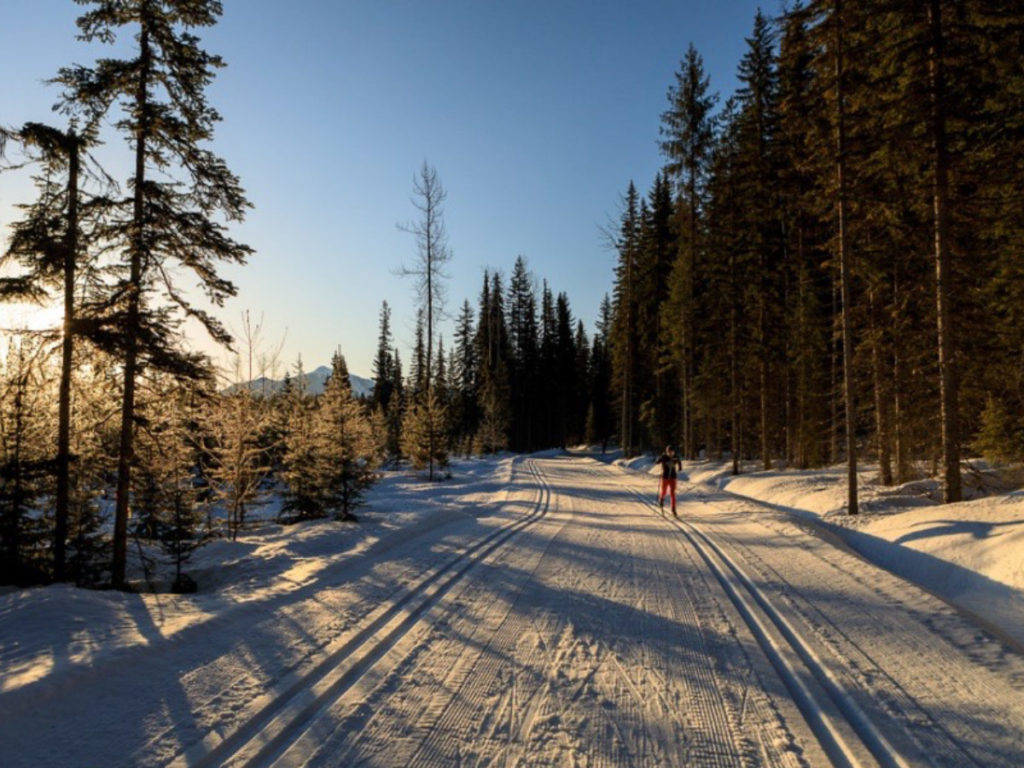 Peaceful Nordic skiing at Dawn Mountain in Golden 