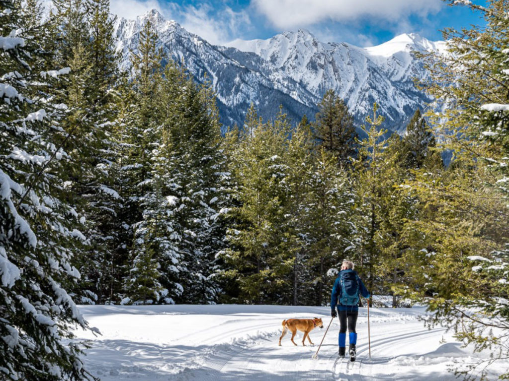 Skiing with dogs off leash is allowed at Nipika Mountain Resort