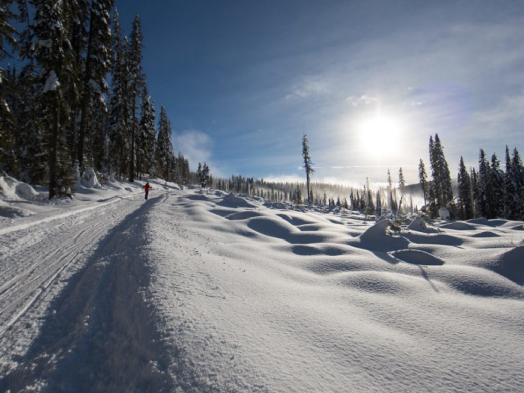 Sublime skiing at Paulson Recreation Area