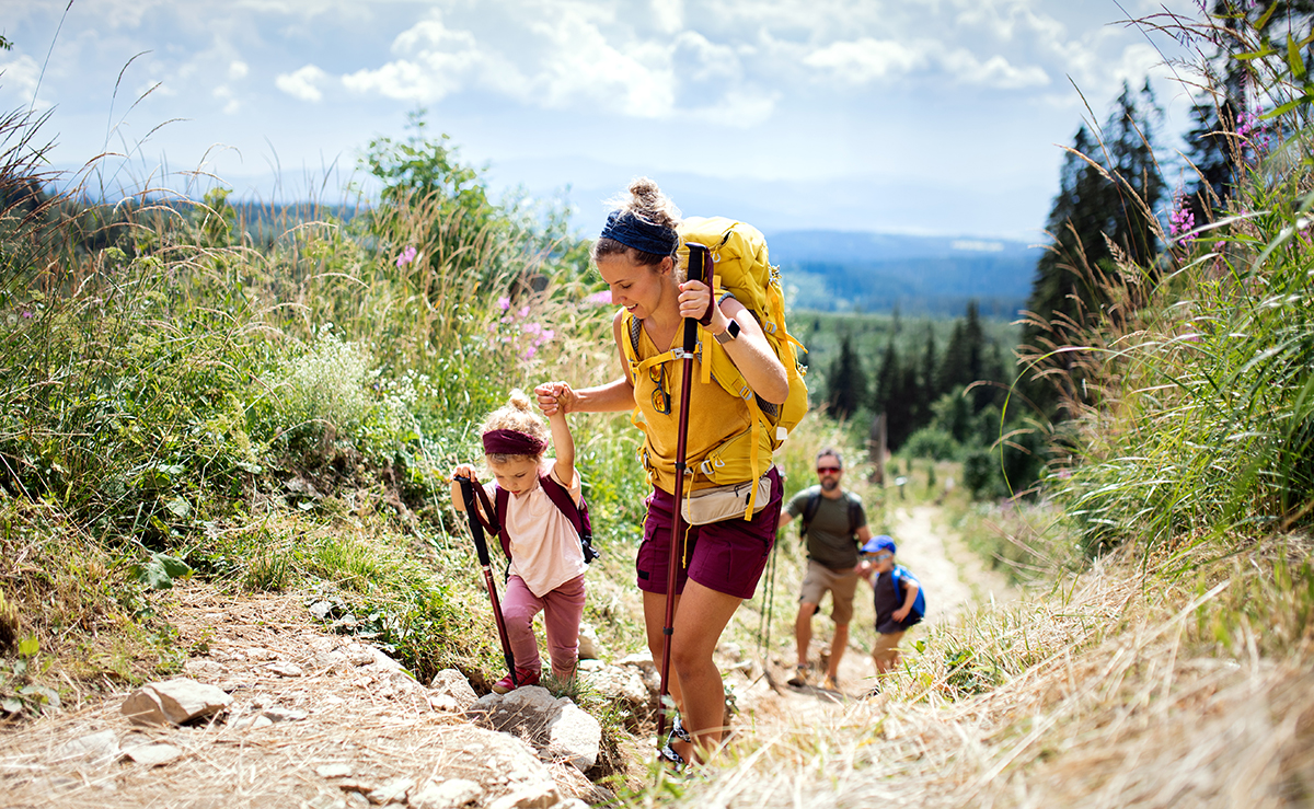 Hiking instruments