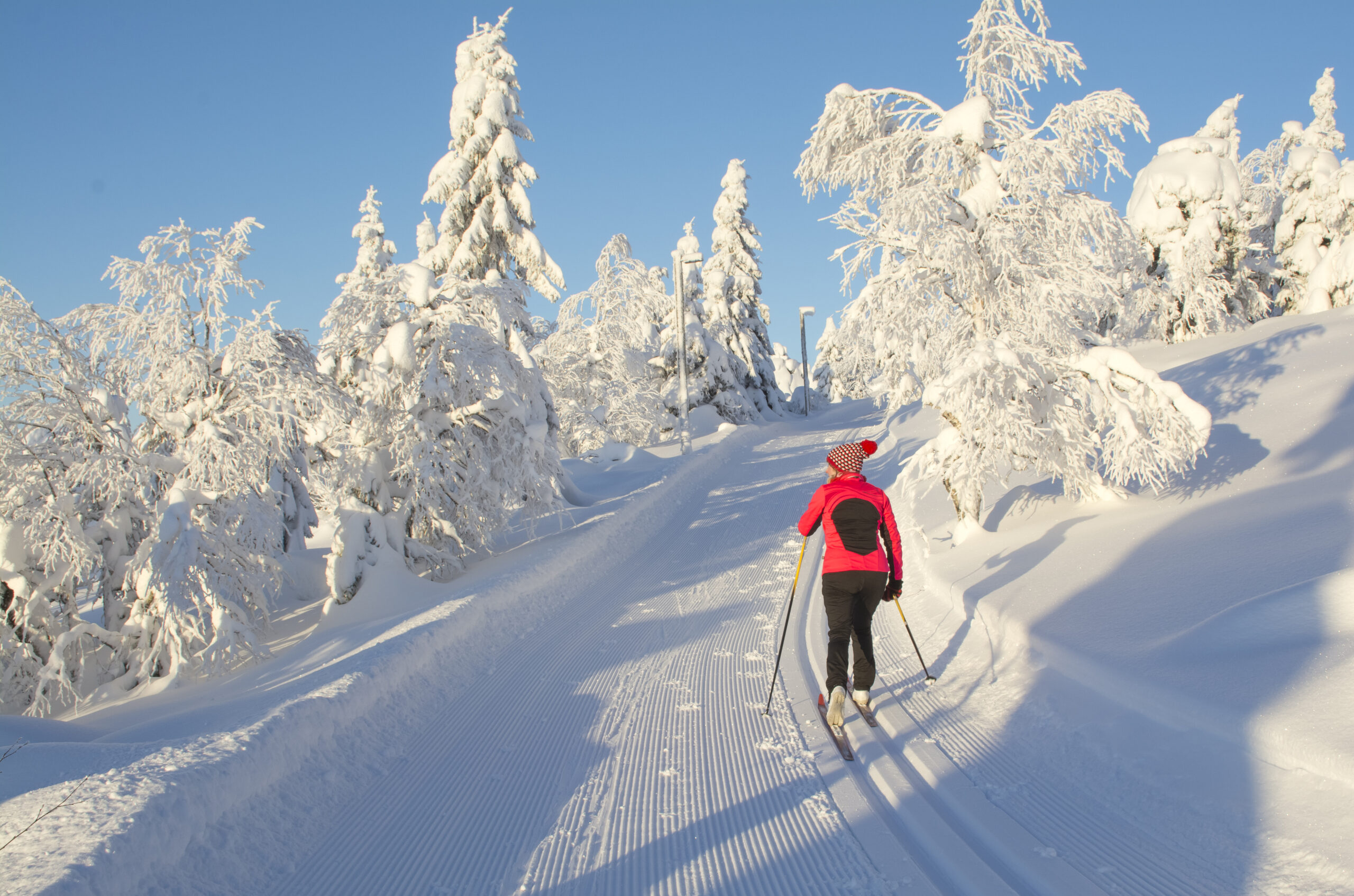 Crosscountry Skiing The Complete Cardio Workout IMPACT Magazine