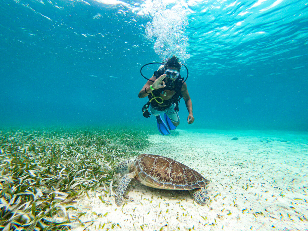 Belize - Diving