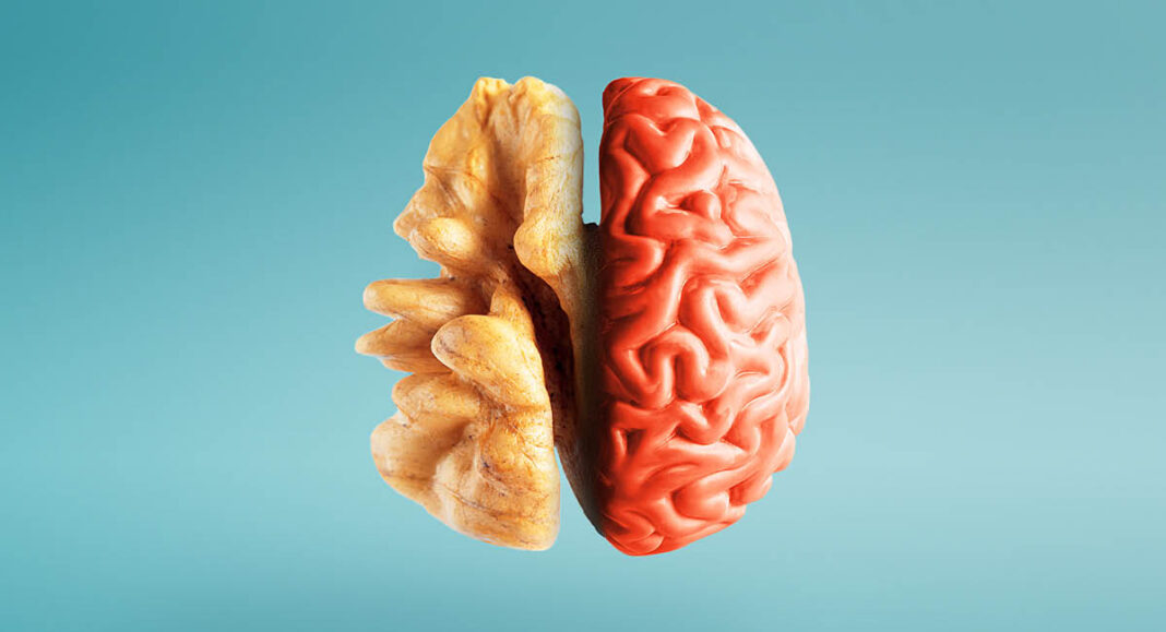 Eating for Mental Clarity