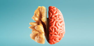 Eating for Mental Clarity