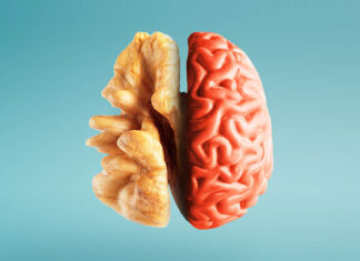 Eating for Mental Clarity