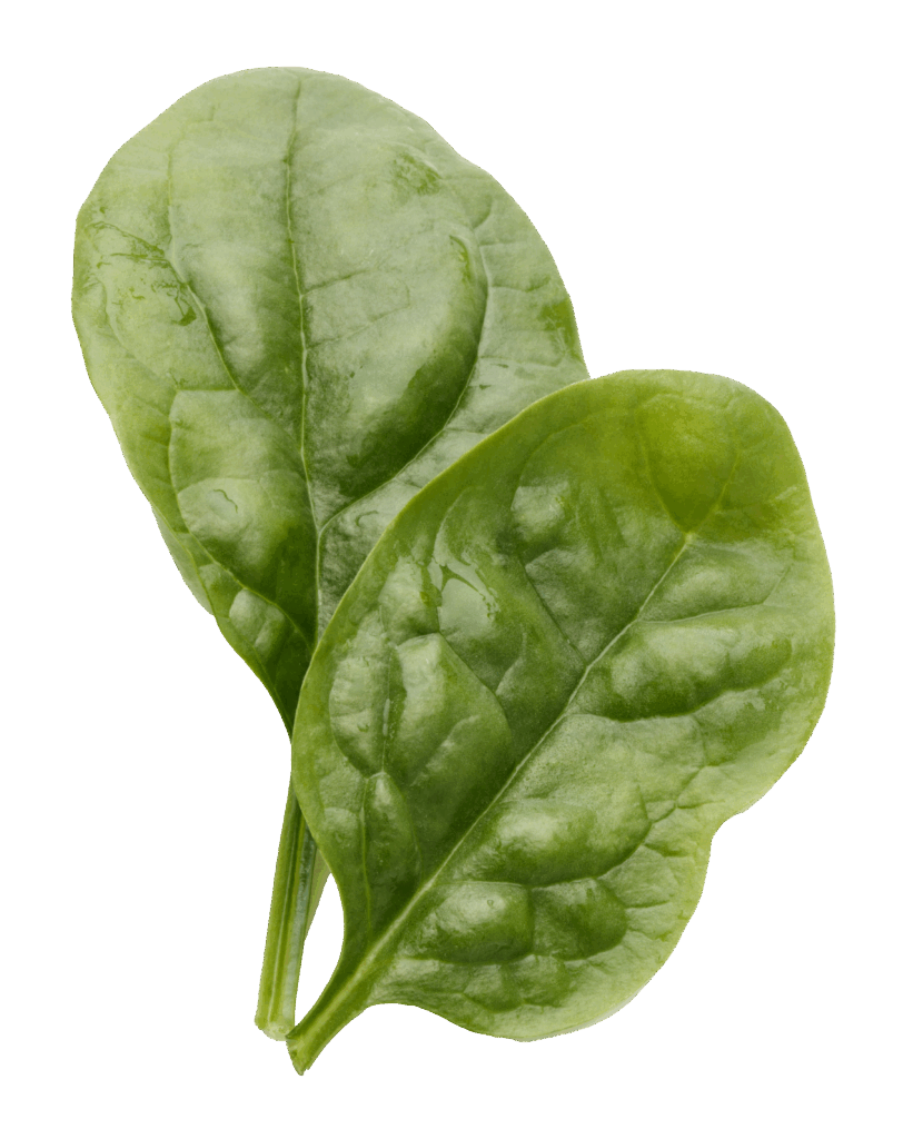 Green, Leafy Vegetables