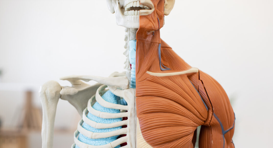 IMPACT Fall Fitness Issue_Article_Banners23