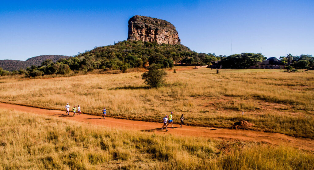Big Five Marathon
