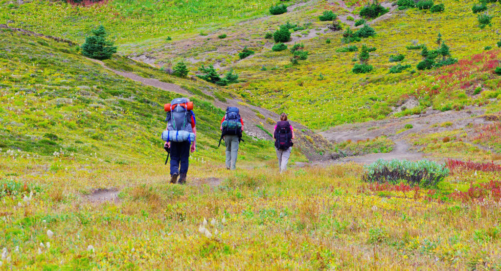 Skyline Trail