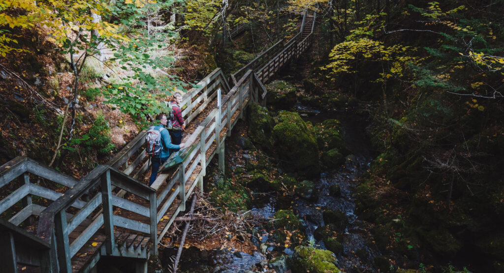 Fundy Footpath 