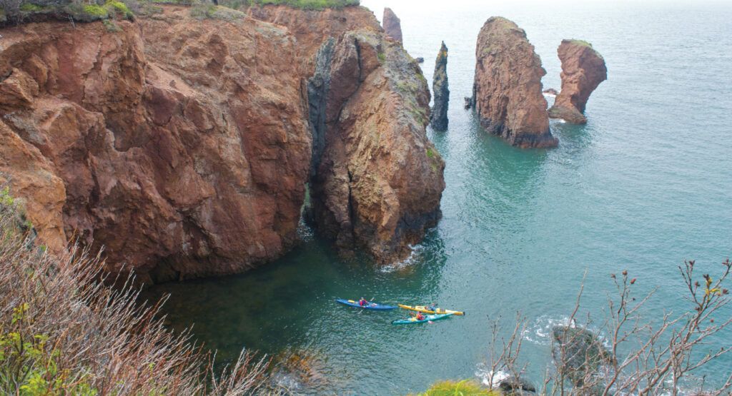 Cape Chignecto Coastal Trail 